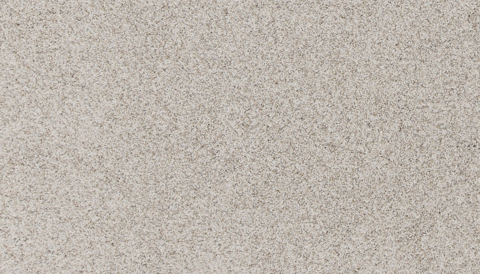 Mohawk Canine Comfort in London Fog, Carpet product detail