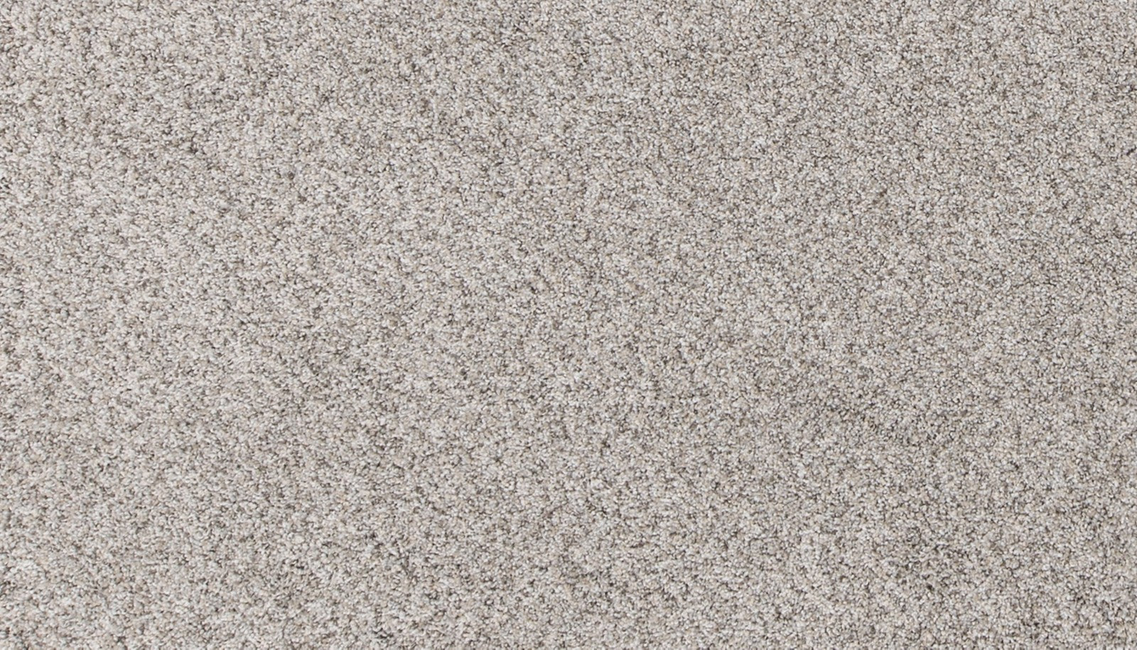 Mohawk Canine Comfort in Oyster, Carpet product detail