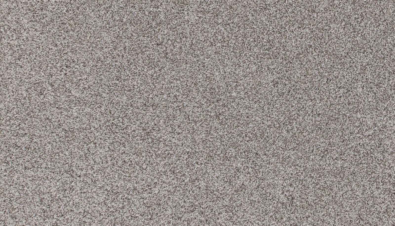 Mohawk Canine Comfort in Pebble Path, Carpet product detail