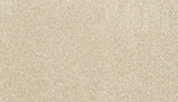 Mohawk Canine Chic Carpet
