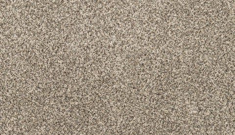 Mohawk Canine Chic Carpet