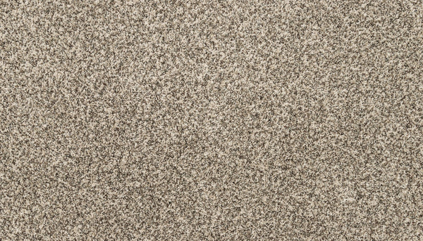 Mohawk Canine Chic Carpet