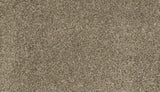 Mohawk Canine Chic Carpet
