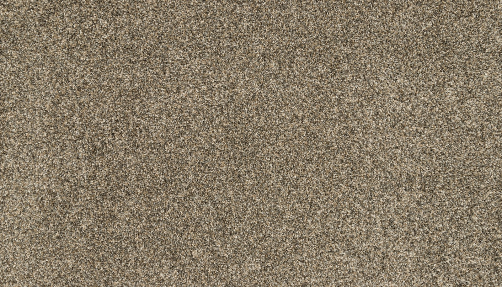 Mohawk Canine Chic in Cracked Wheat, Carpet product detail