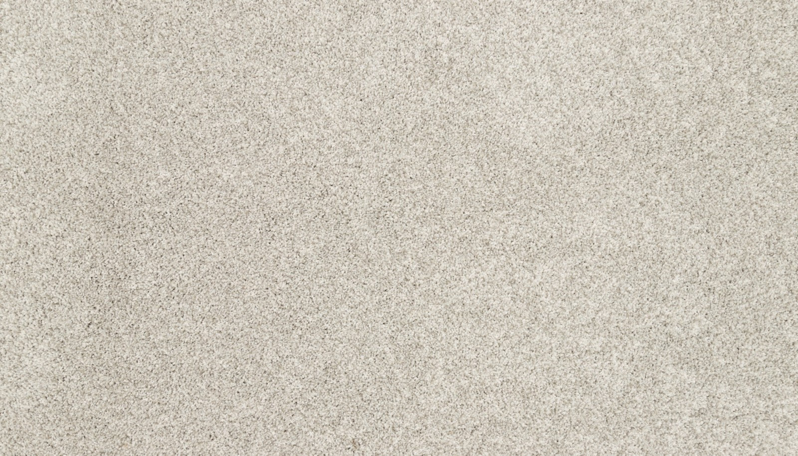 Mohawk Canine Chic in Grey Whisp, Carpet product detail
