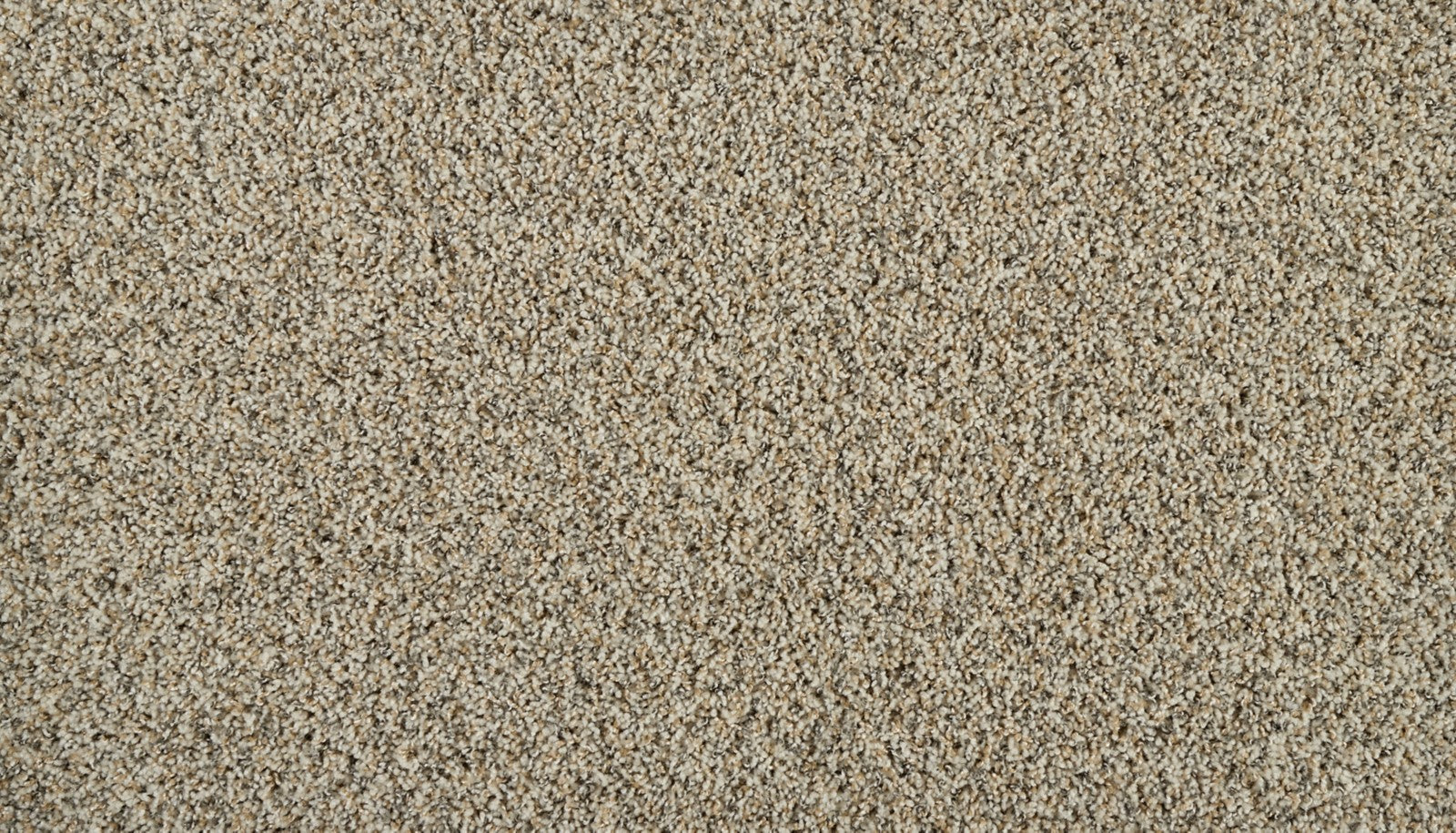 Mohawk Exhilarating in Stonehenge, Carpet product detail