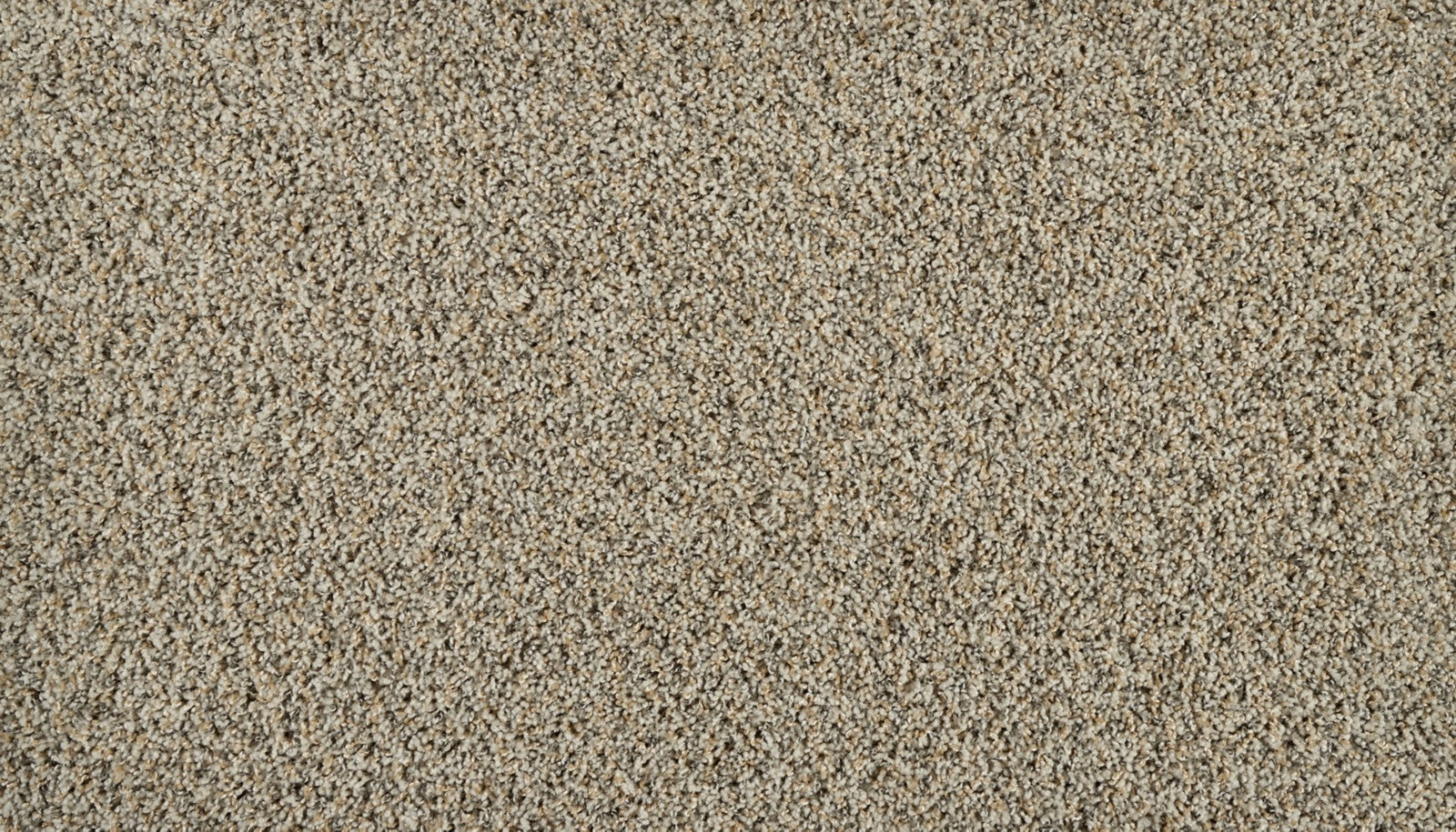 Mohawk Exhilarating in Pelican, Carpet product detail