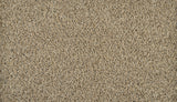 Mohawk Exhilarating Carpet