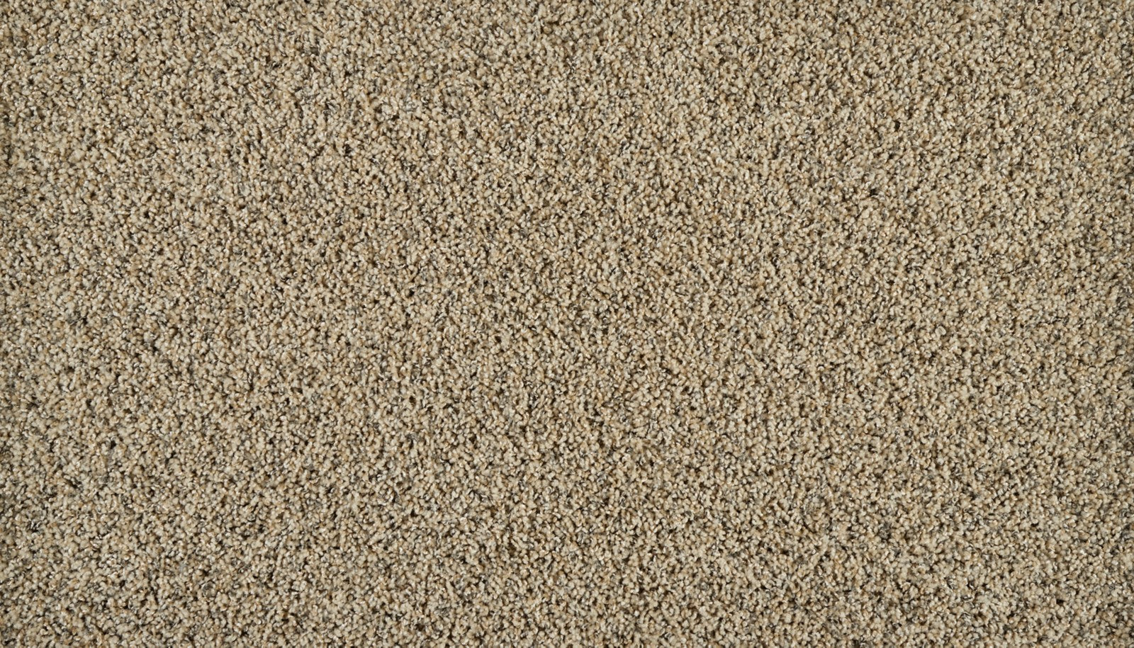 Mohawk Exhilarating in Desert Dust, Carpet product detail