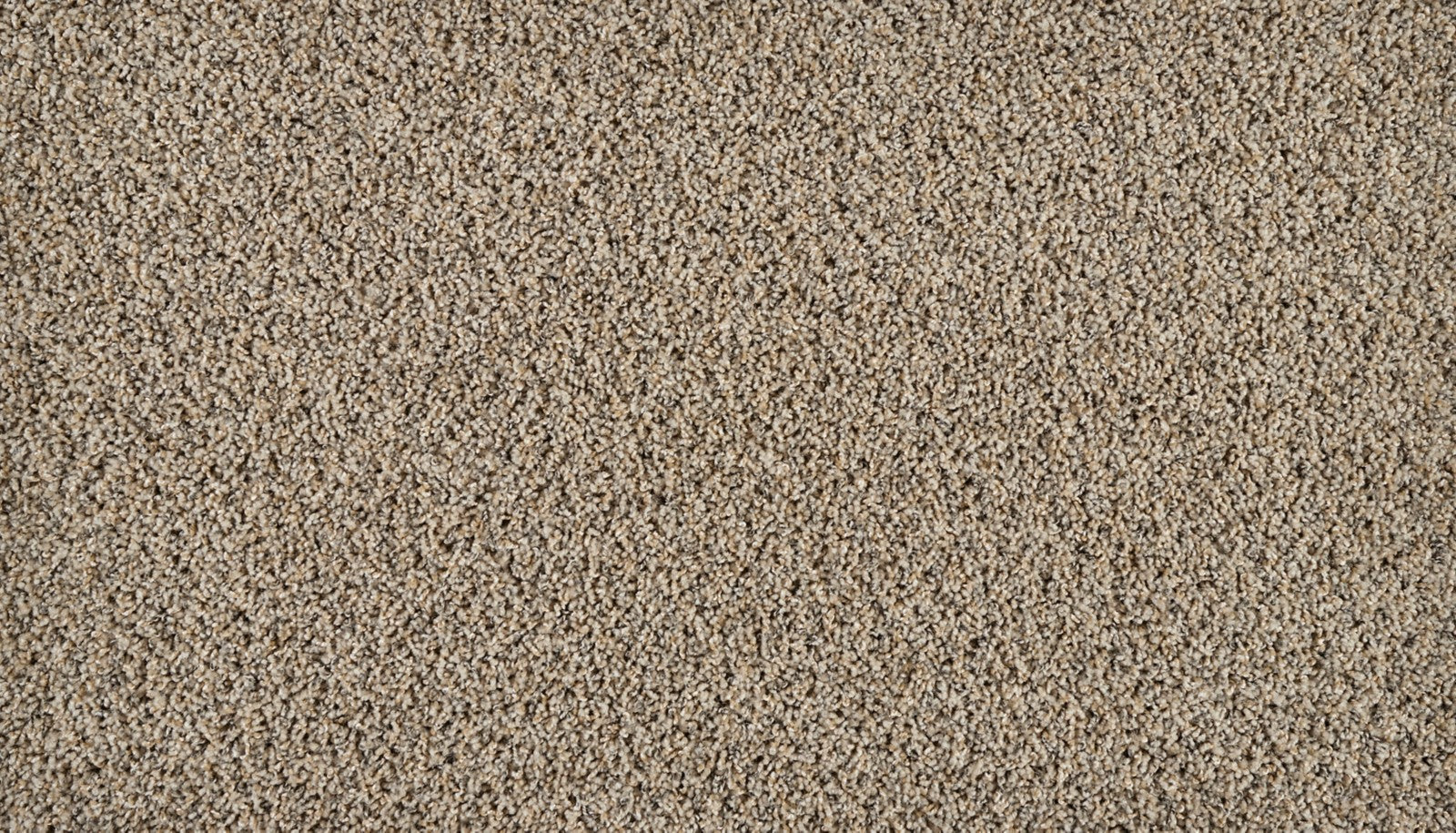 Mohawk Exhilarating in Siberian, Carpet product detail