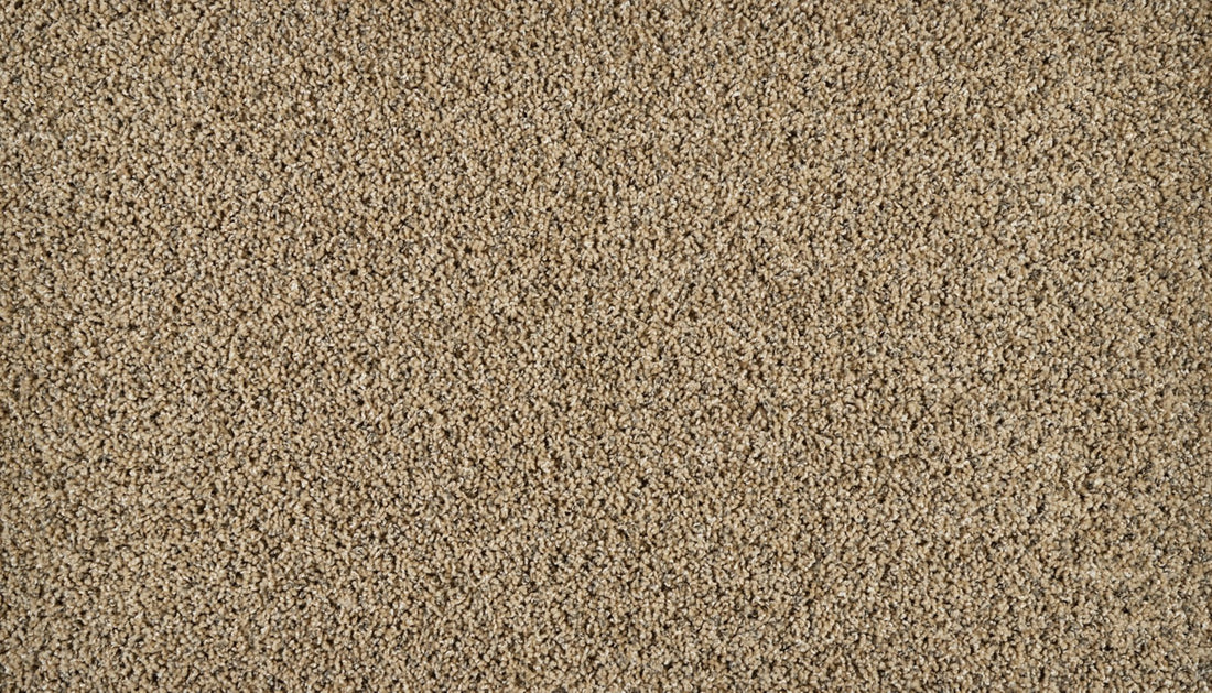 Mohawk Exhilarating Carpet