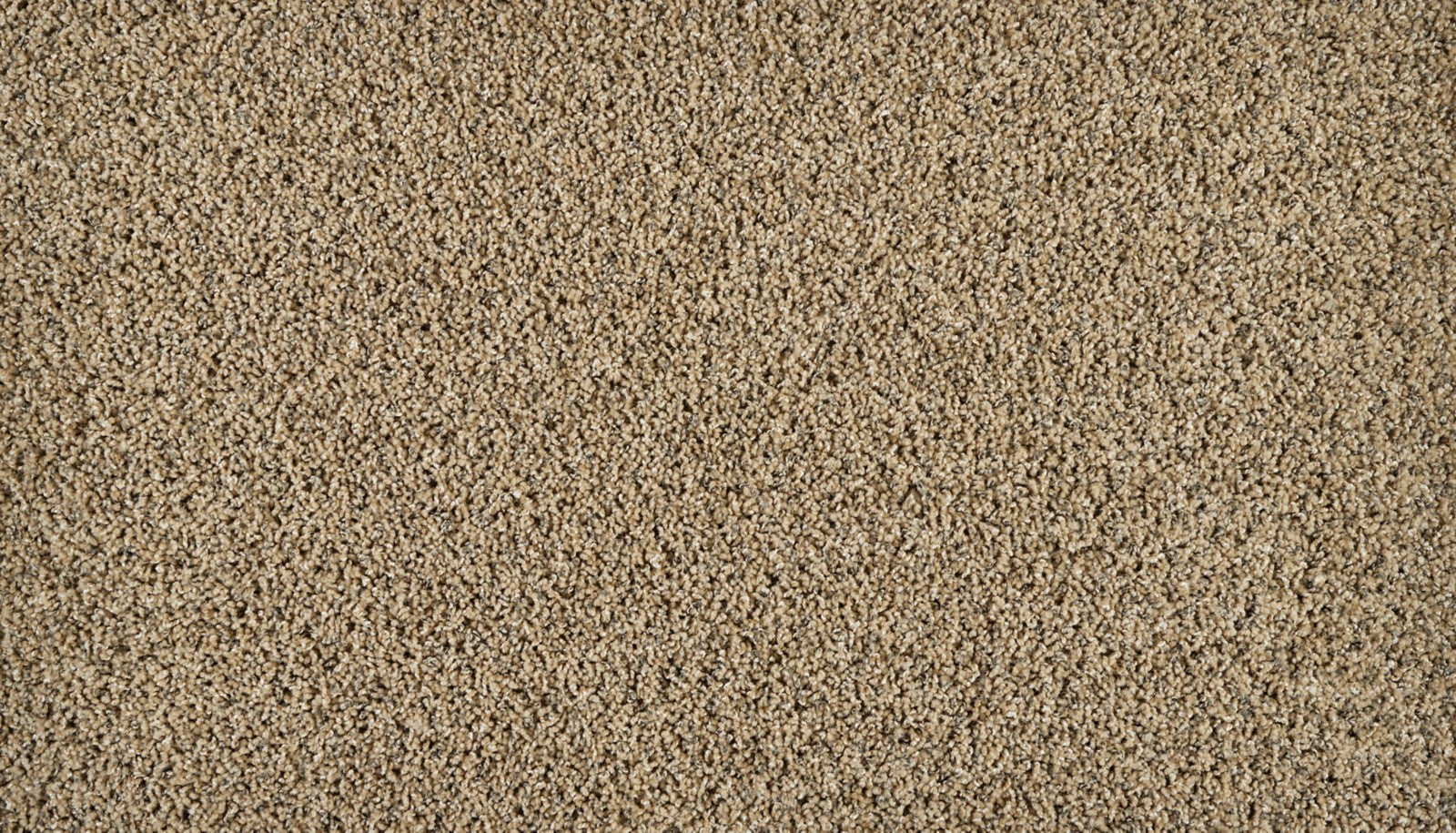 Mohawk Exhilarating in Boulder Beige, Carpet product detail