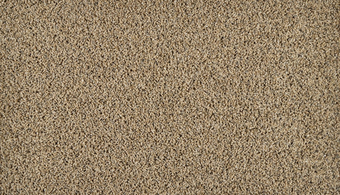 Mohawk Exhilarating Carpet