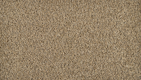 Mohawk Exhilarating Carpet