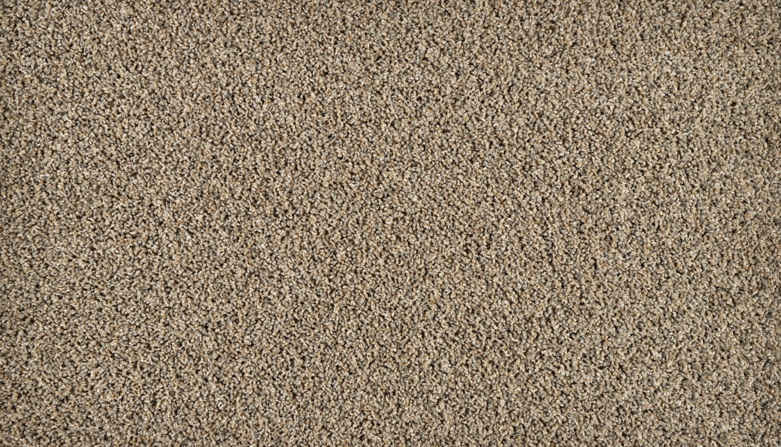 Mohawk Exhilarating in Country Squire, Carpet product detail