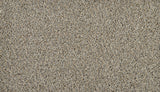 Mohawk Exhilarating Carpet