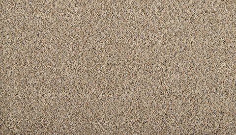 Mohawk Restorative I Carpet