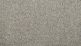 Mohawk Restorative I Carpet