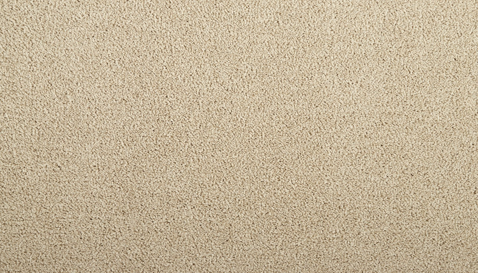 Mohawk Zenith in Daydream, Carpet product detail