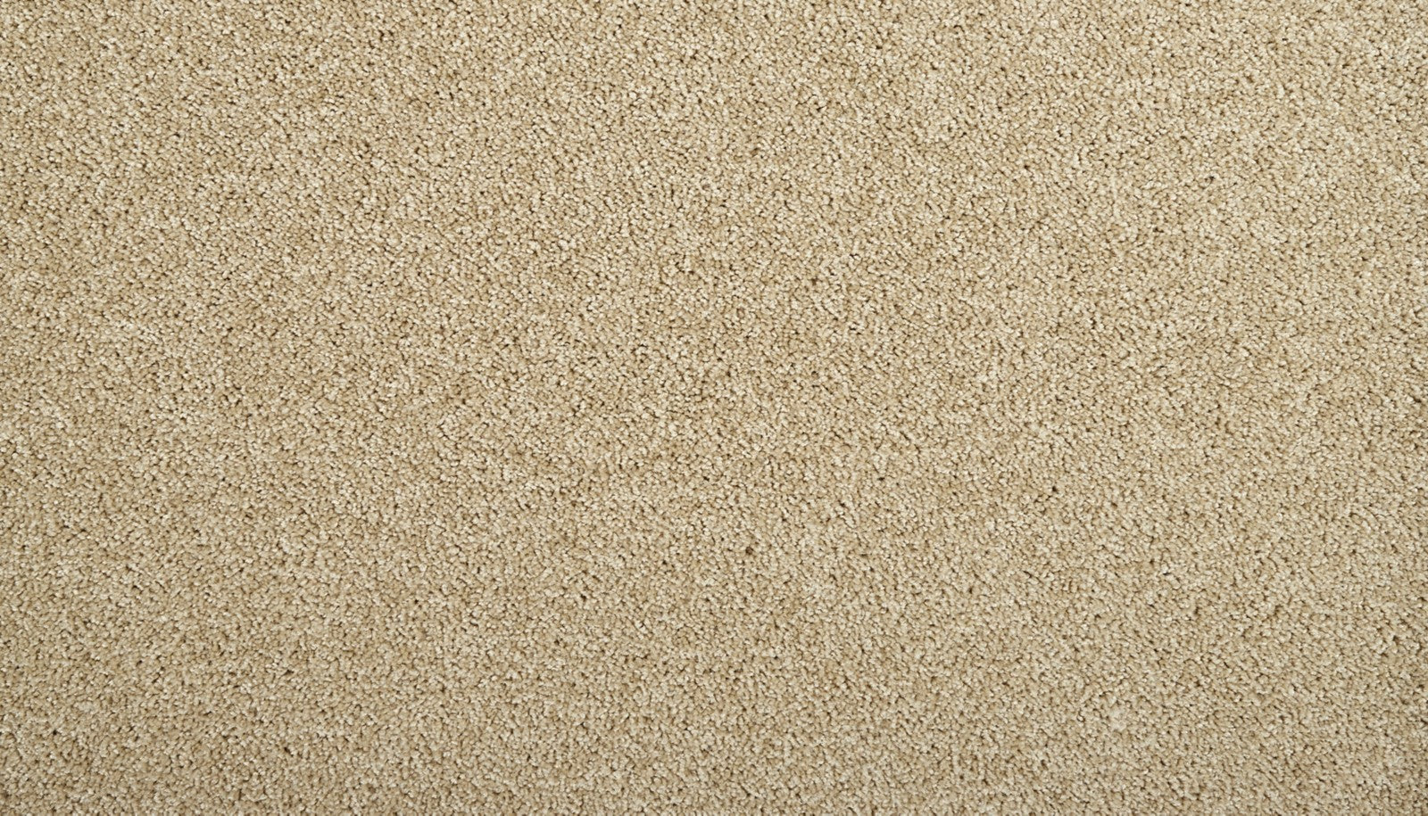 Mohawk Zenith in Sandy Dunes, Carpet product detail