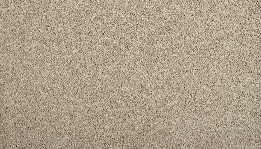 Mohawk Zenith Carpet