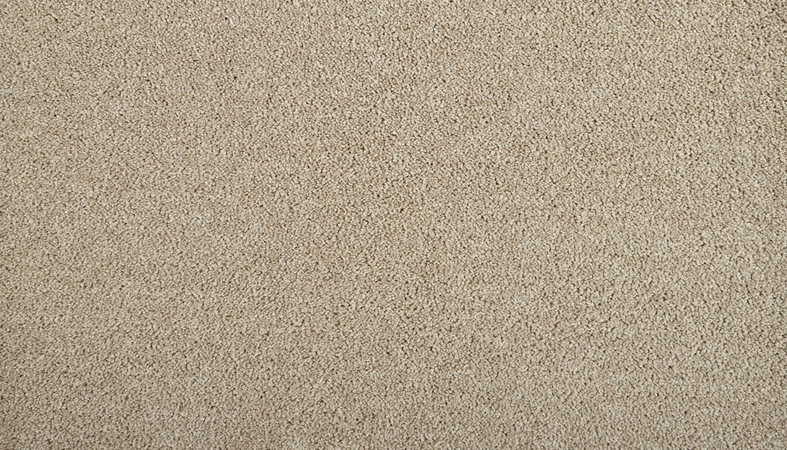Mohawk Zenith in Angora, Carpet product detail
