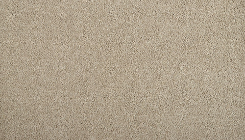 Mohawk Zenith Carpet