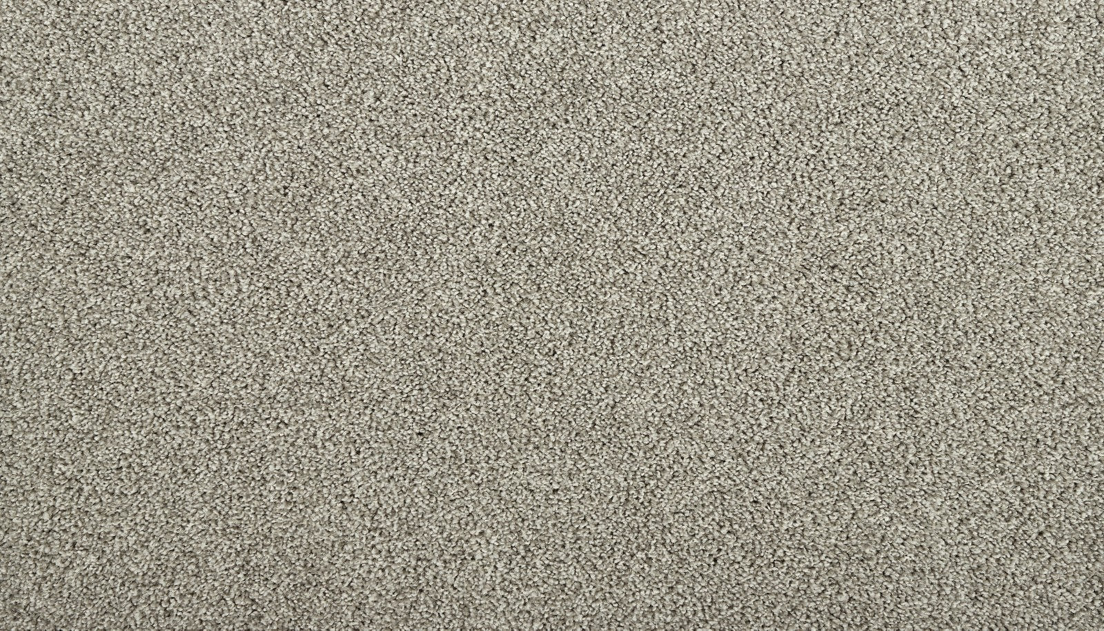 Mohawk Zenith in Deep Breath, Carpet product detail