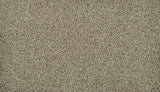 Mohawk Classic Fit I Carpet
