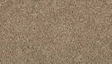 Mohawk Classic Fit I Carpet