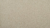 Mohawk Classic Fit II Carpet