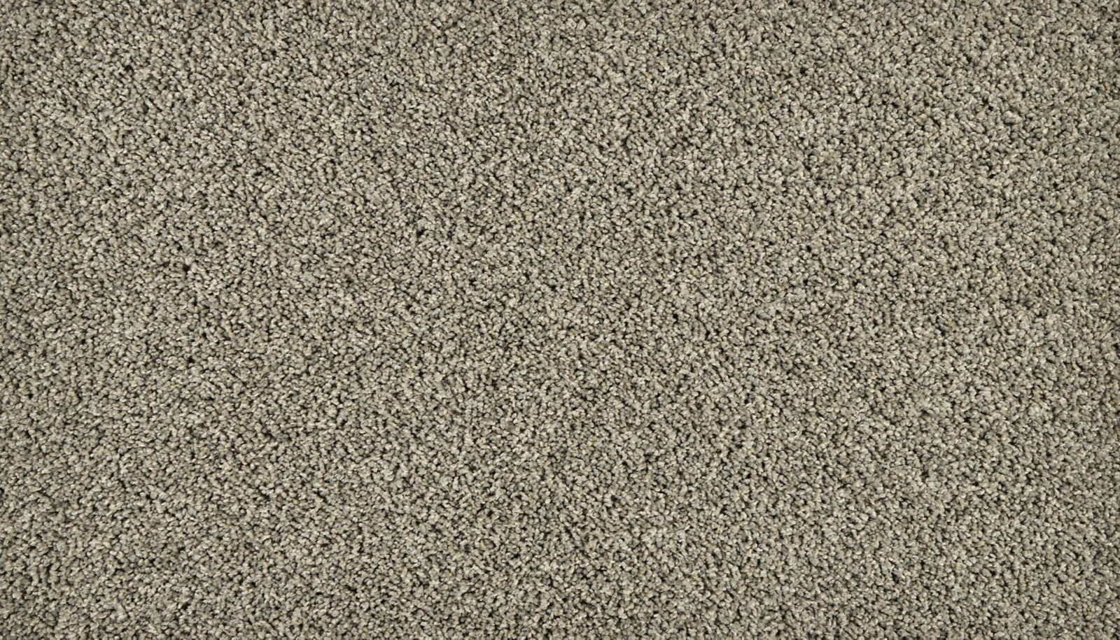 Mohawk Classic Fit II in Shipwreck, Carpet product detail