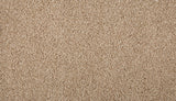 Mohawk Assorted Elements I Carpet