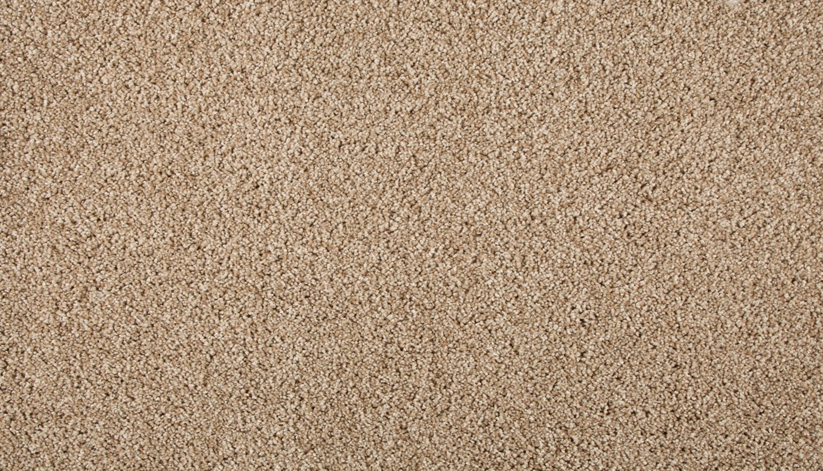Mohawk Assorted Elements I in Coastal Sands, Carpet product detail