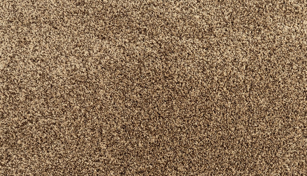 Mohawk Assorted Elements I Carpet