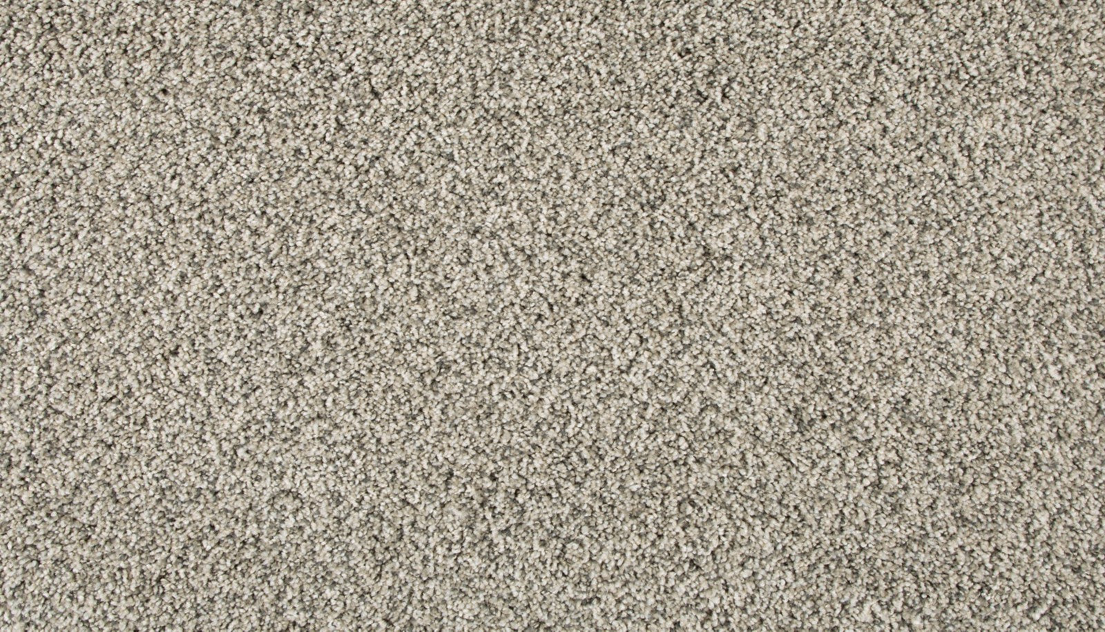 Mohawk Assorted Elements I in Silver Dollar, Carpet product detail