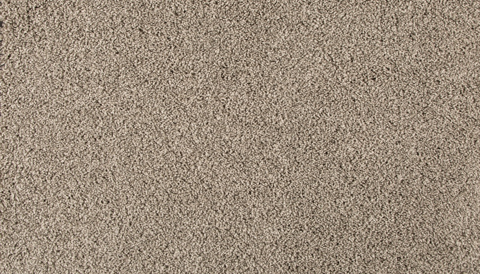 Mohawk Assorted Elements II in Soft Smoke, Carpet product detail