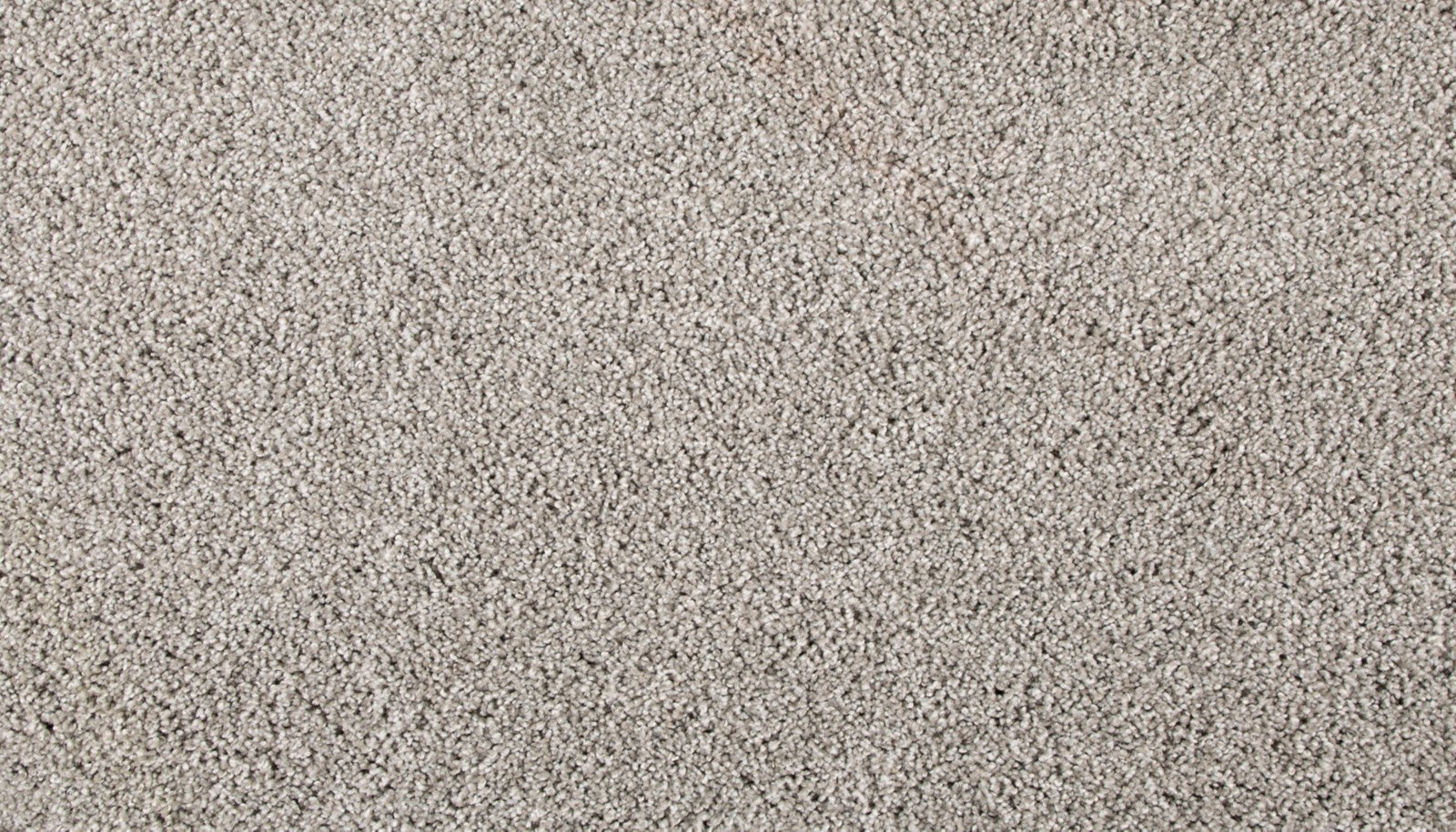 Mohawk Assorted Elements II in Thin Ice, Carpet product detail