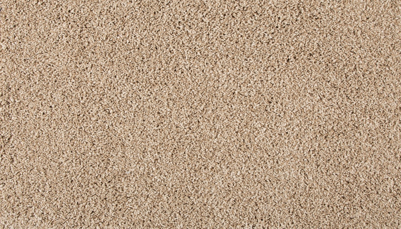 Mohawk Assorted Elements II in Coastal Sands, Carpet product detail
