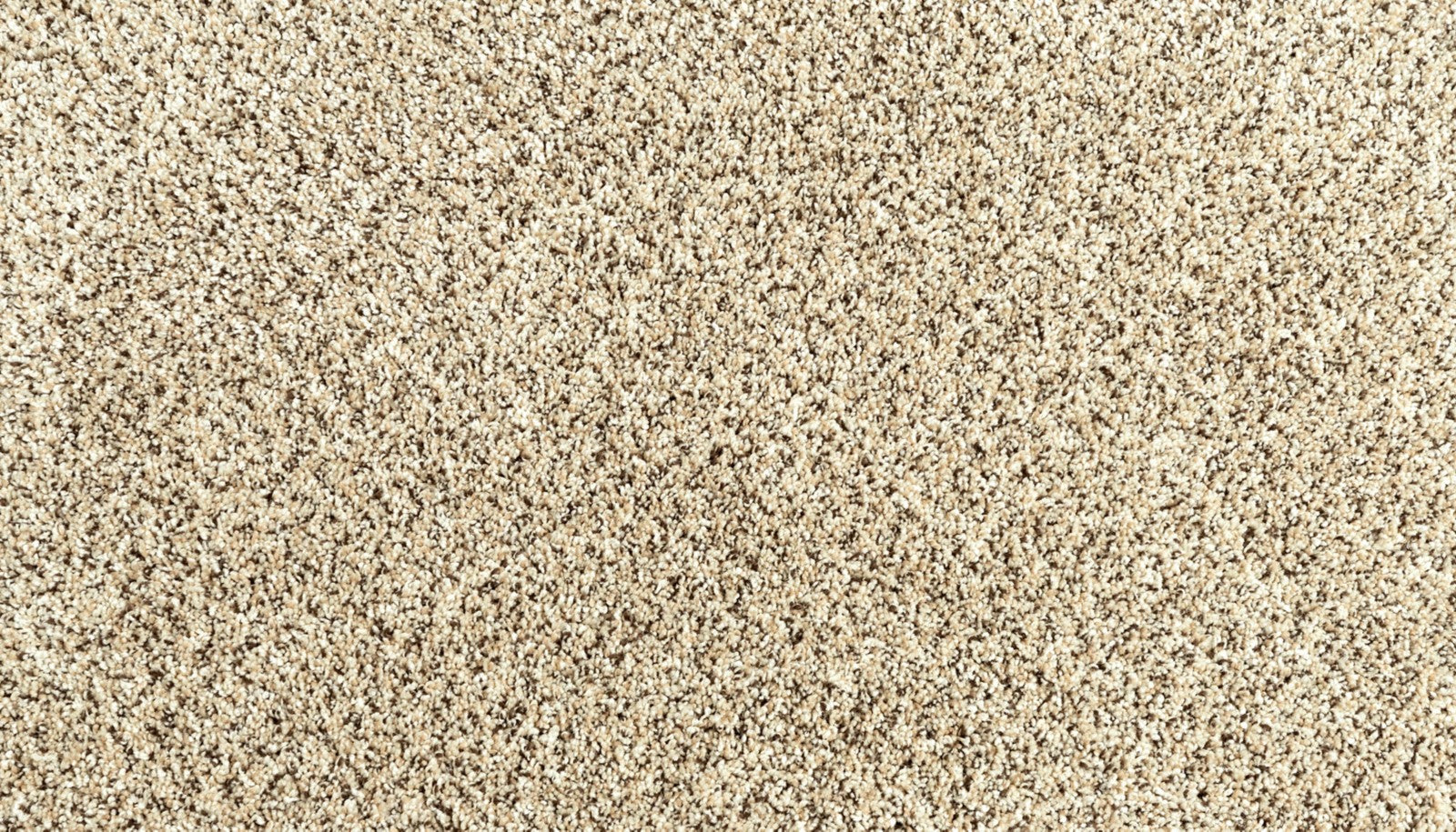 Mohawk Assorted Elements II in Cross Country, Carpet product detail
