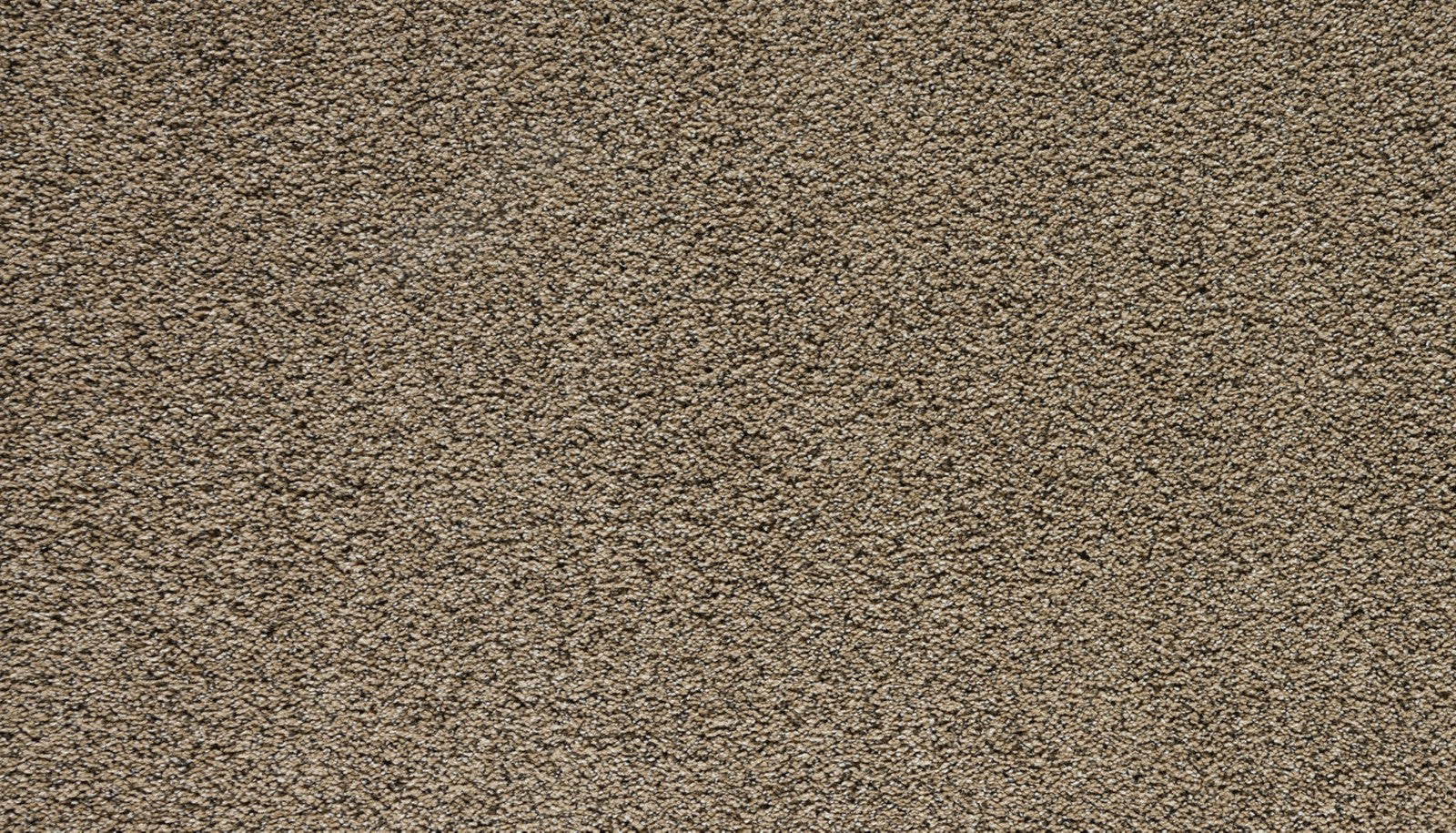 Mohawk Assorted Elements II in Fowler, Carpet product detail