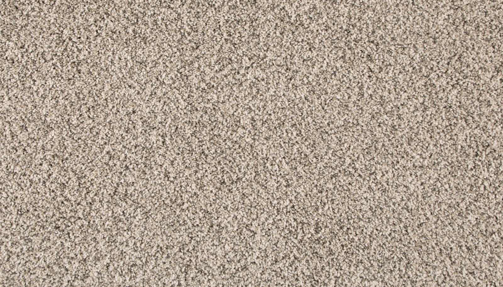 Mohawk Assorted Elements II in Silver Dollar, Carpet product detail