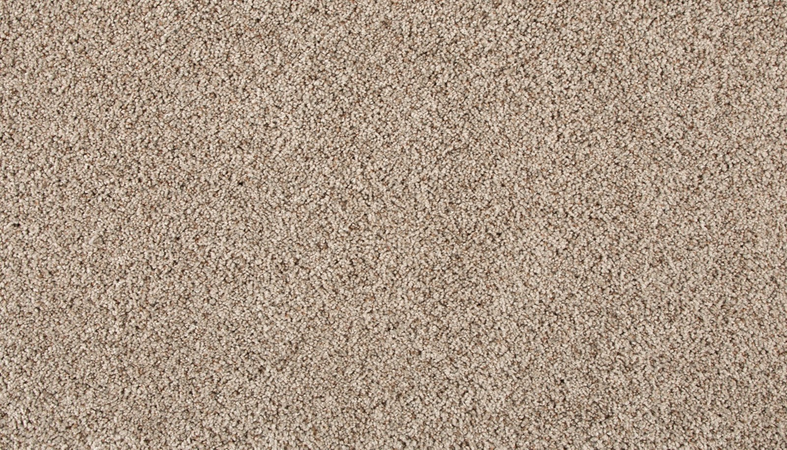 Mohawk Assorted Elements II in Dock, Carpet product detail