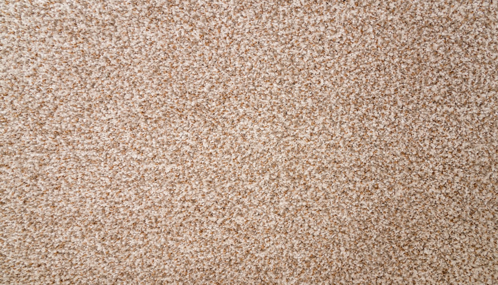 Mohawk Natural Selection I in Atrium, Carpet product detail