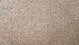 Mohawk Natural Selection I Carpet