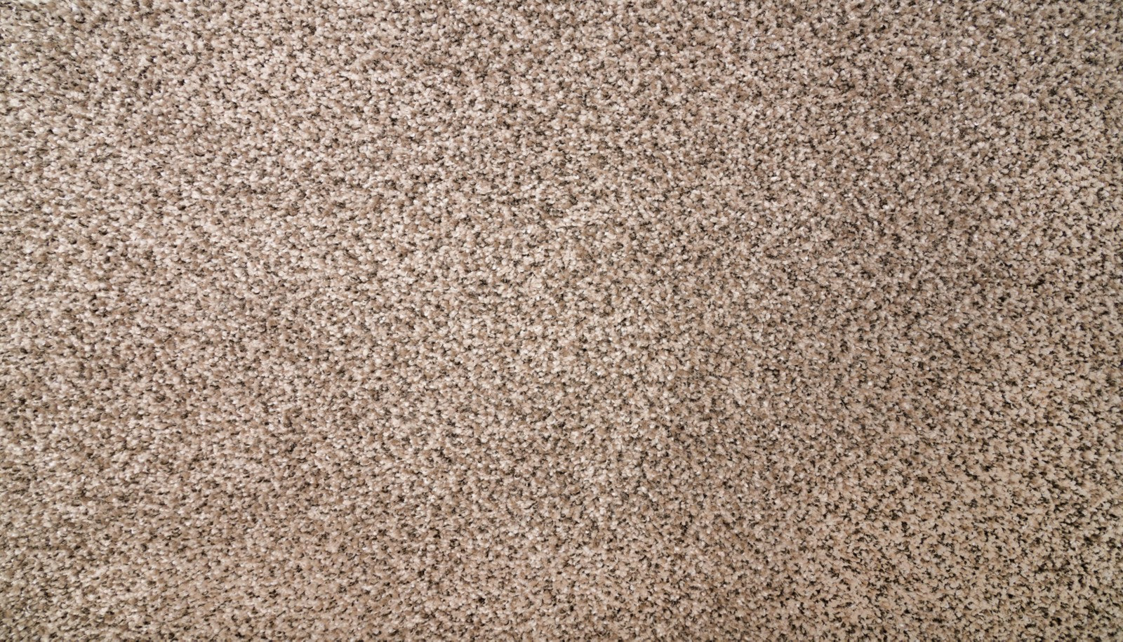 Mohawk Natural Selection I in Hearthstone, Carpet product detail