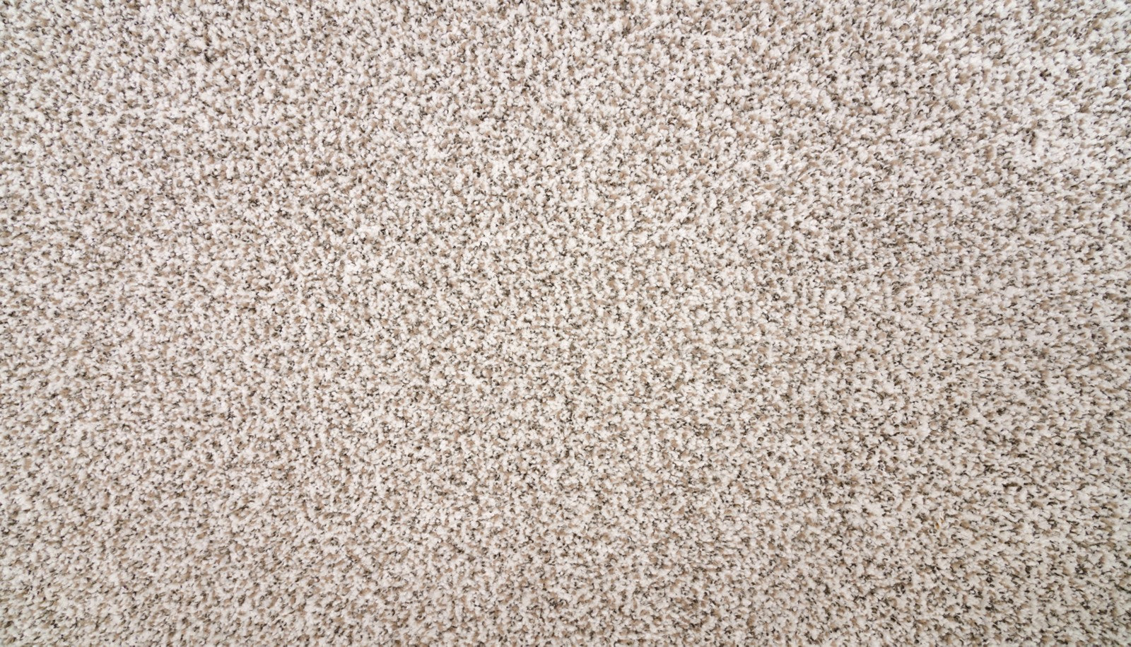 Mohawk Natural Selection I in Goose Down, Carpet product detail