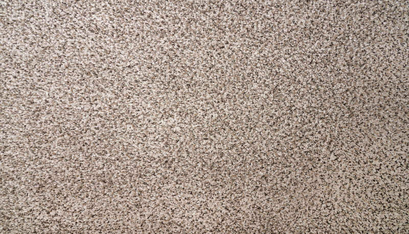Mohawk Natural Selection I in Weathered Grey, Carpet product detail