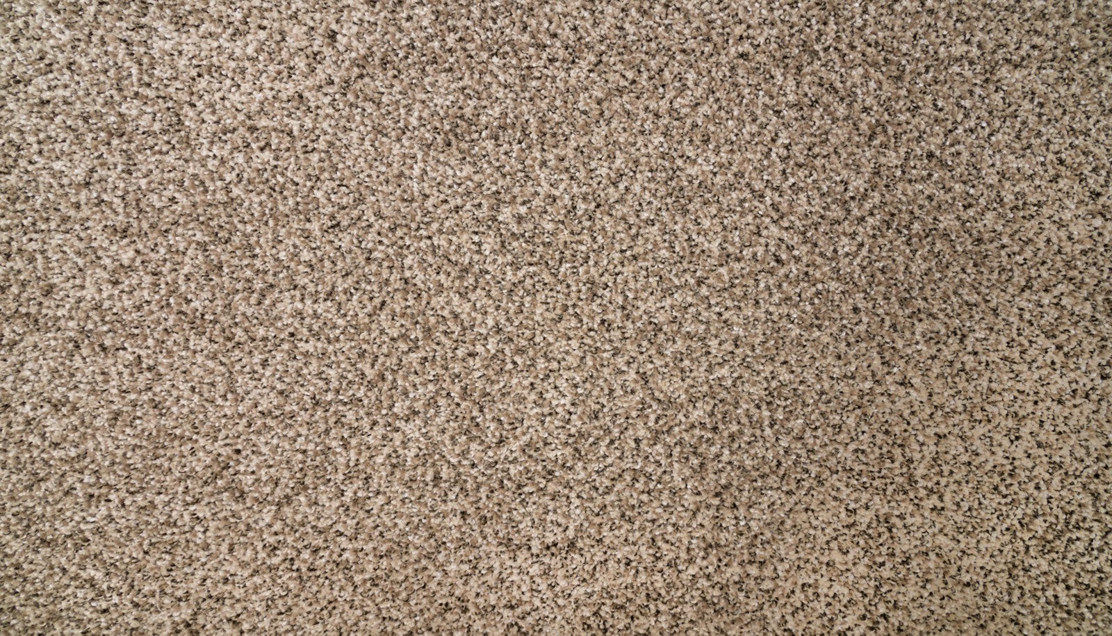 Mohawk Natural Selection II in Pebble Path, Carpet product detail