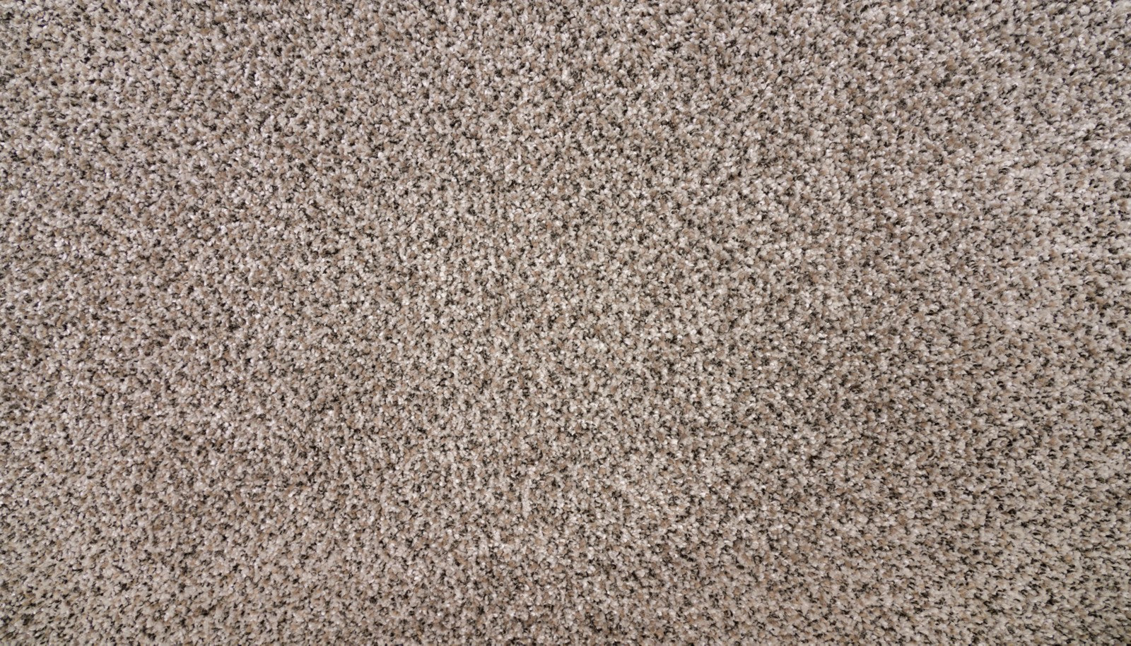 Mohawk Natural Selection II in Rocky Coast, Carpet product detail
